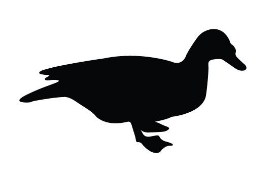 550x354 Duck Silhouette Vector Silhouettes Vector