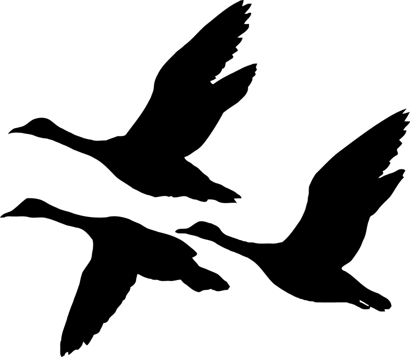 800x696 Flying Geese Clip Art