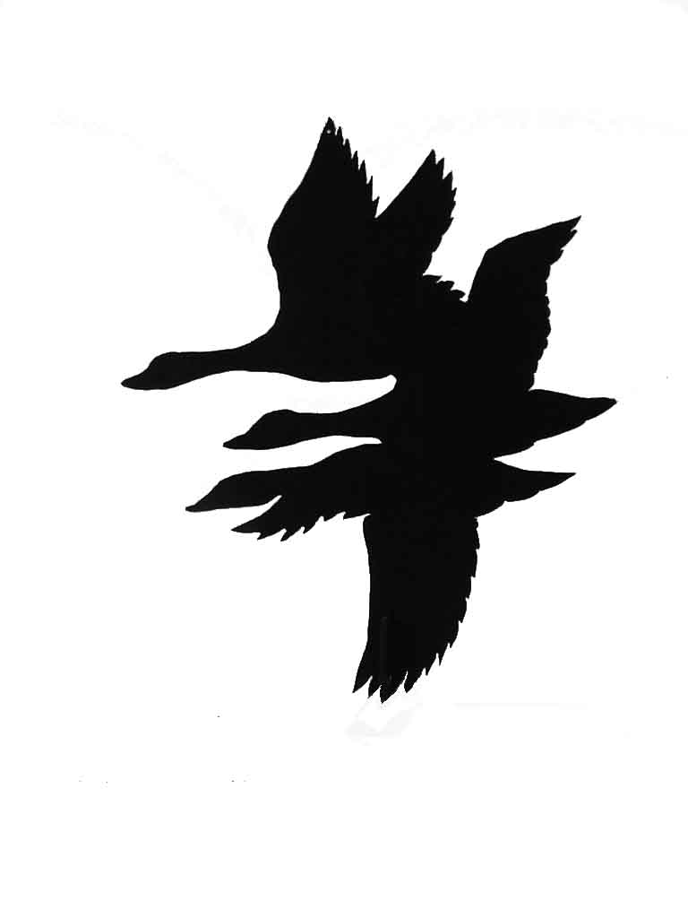 768x1024 Lampl Engineering