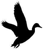 Flying Duck Silhouettes | Free download on ClipArtMag