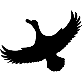 263x262 New Silhouettes Flute, Flying Dragon, And More