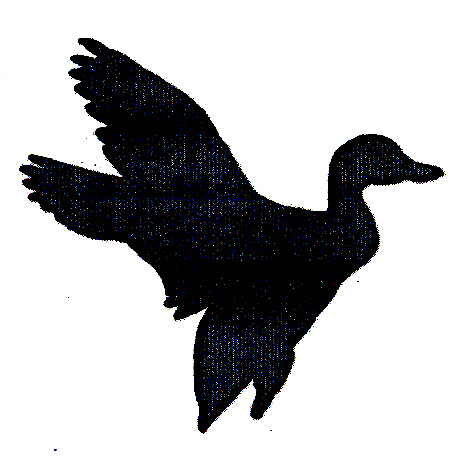 464x464 Rt Duck E12.jpg