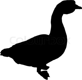 320x314 Vector Silhouette Flying Duck On White Background Stock Vector