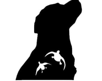 340x270 Lab With Duck In It Mouth Clipart