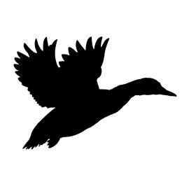 Flying Duck Silhouettes | Free download on ClipArtMag