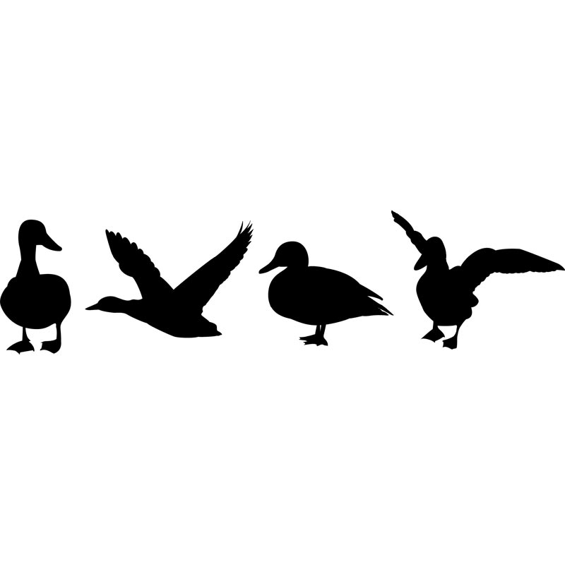 800x800 Duck Clipart Duck Hunting