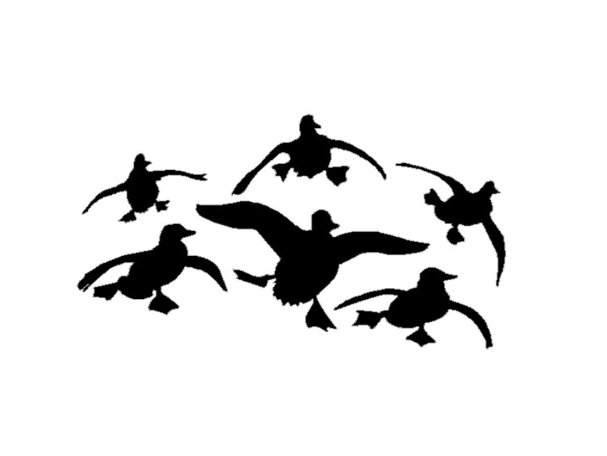 878x659 Flying Ducks Decal