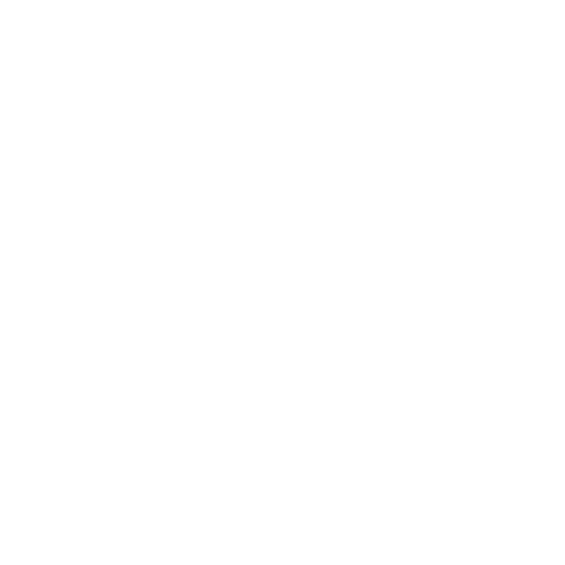565x565 Flying Ducks Wall Stickers