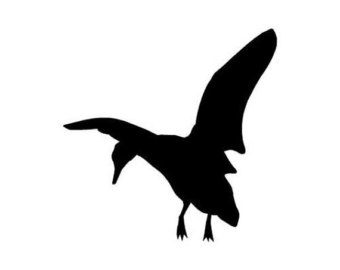 340x270 Flying Duck Decal Etsy