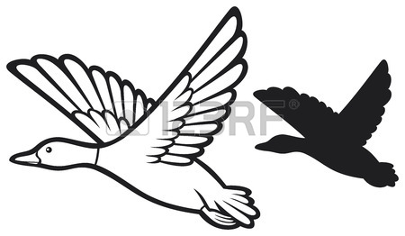 450x262 Mallard Duck Flying Bird Duck, Flying Duck Royalty Free Cliparts