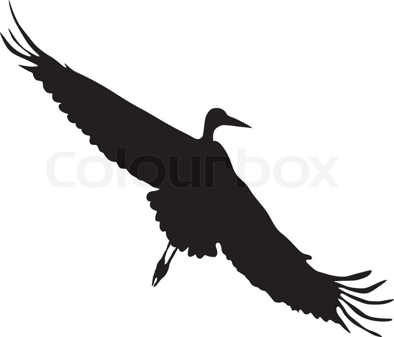 800x684 Silhouette Of Flying Goose Stock Vector Colourbox