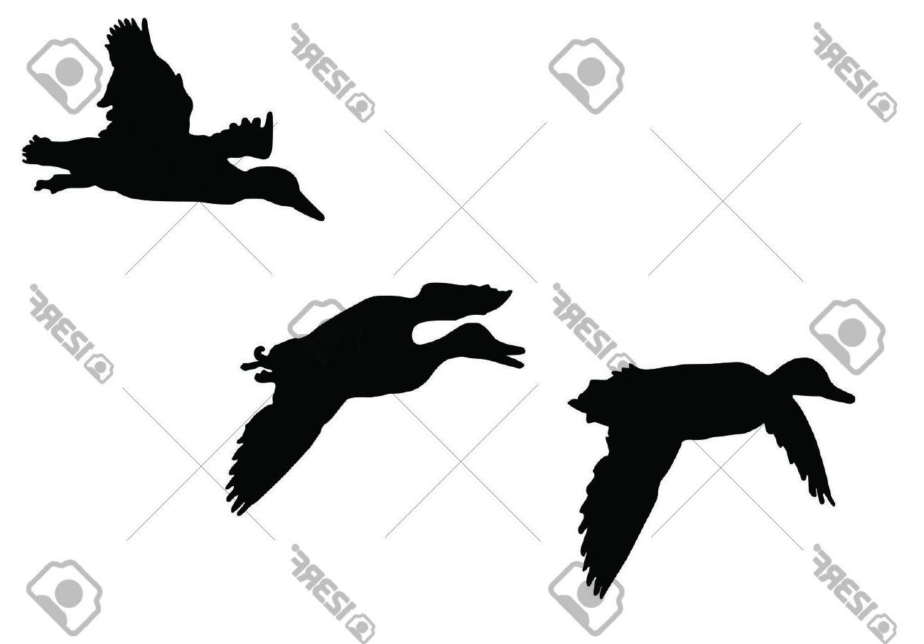 1300x906 Unique Mallard Ducks Flying Silhouette Stock Vector Duck Design