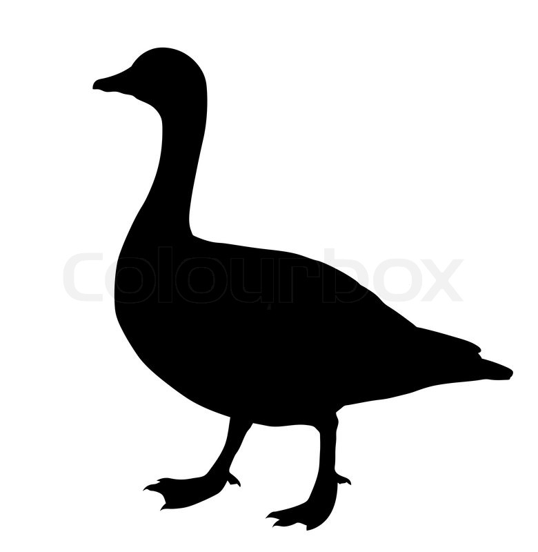 780x800 Vector Silhouette Flying Duck On White Background Stock Vector