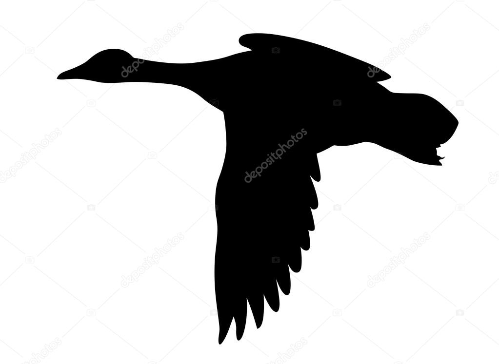 1023x747 Vector Silhouette Flying Ducks On White Background Stock Vector