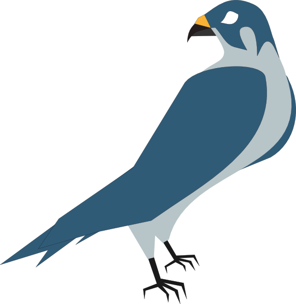 582x598 Hawk Clip Art