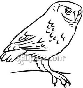 285x300 Top 86 Barn Owl Clipart