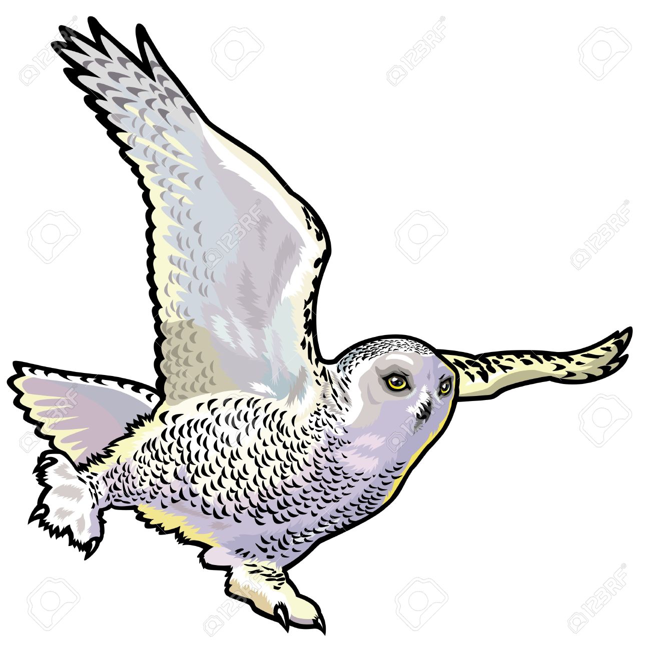 1291x1300 Owl Clipart Vector