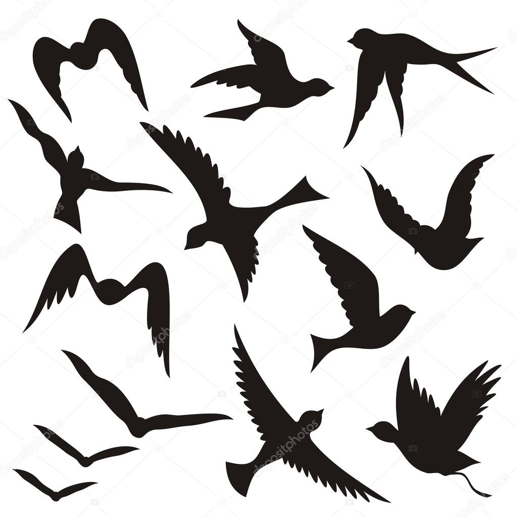 1024x1024 Bird Silhouette Stock Vectors, Royalty Free Bird Silhouette