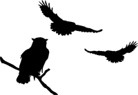 200x138 Flying Owl Silhouette Clipart Panda