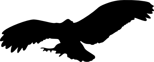 600x243 Image Of Flying Owl Clipart