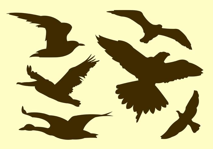 700x490 Wildfowl And Big Bird Silhouette Vectors