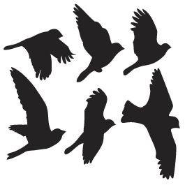265x265 Best Bird Silhouette Ideas Bird Silhouette Art
