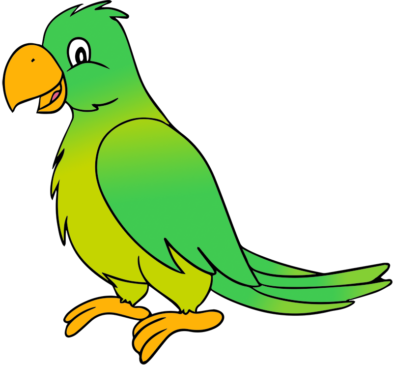 800x742 Clipart Parrot