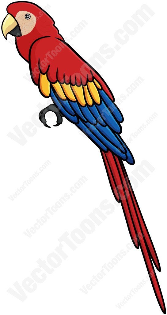 545x1024 Graphics For Parrot Clipart Graphics
