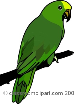 247x350 Bird Clipart
