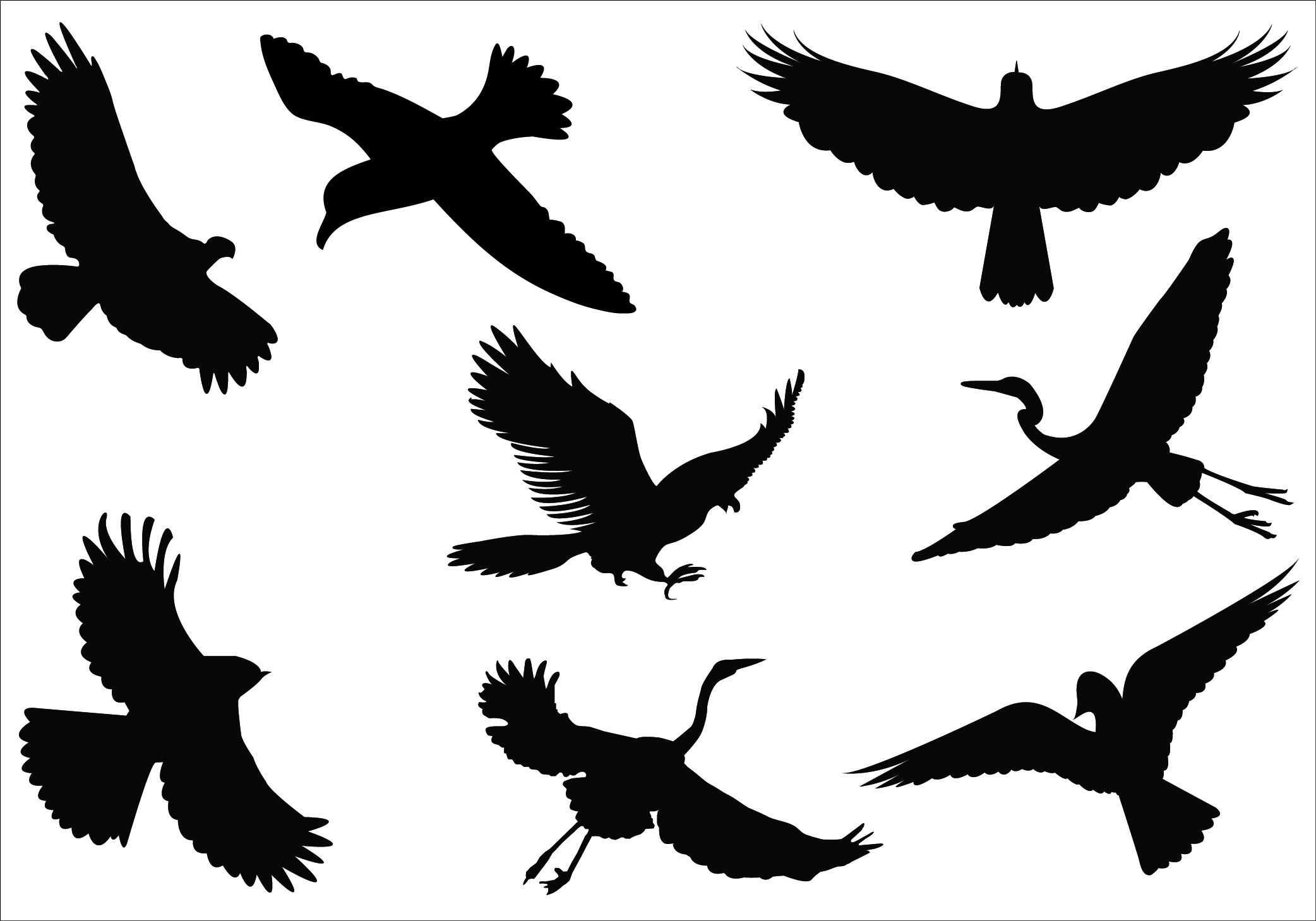 2084x1459 Birds In Flight Clipart