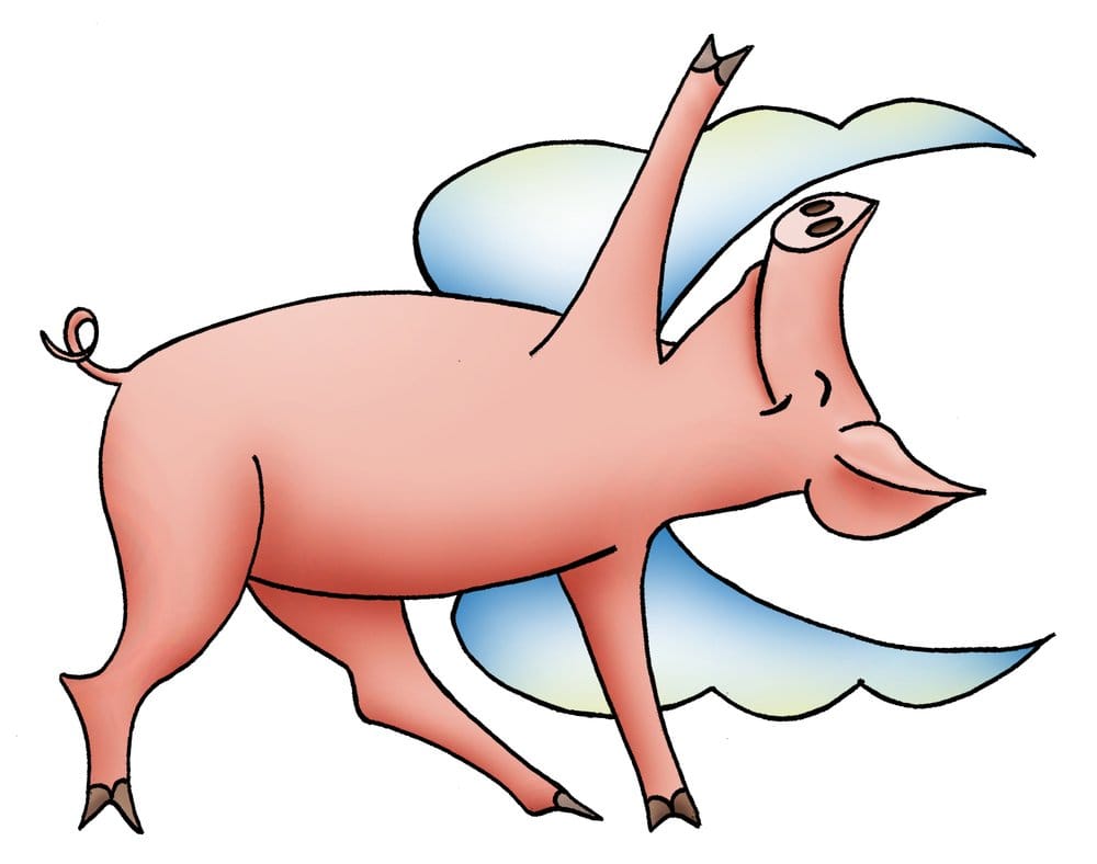 1000x788 Flying Pig Yoga