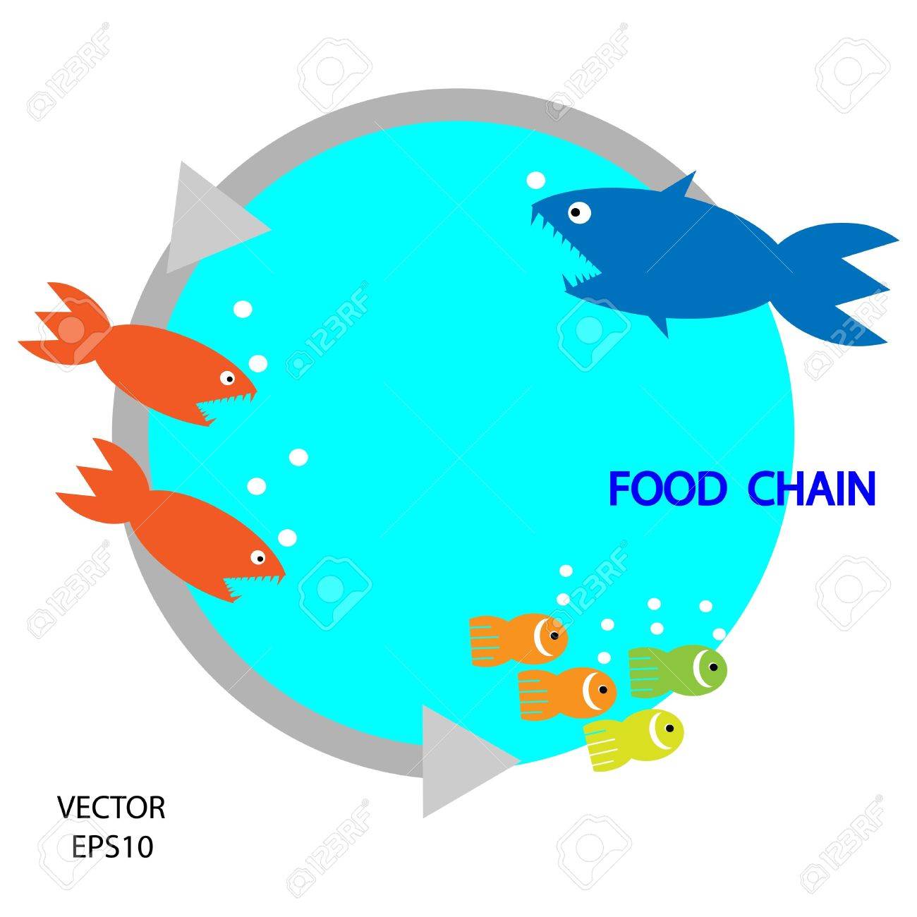 1300x1300 Food Chain, A Small Fish Is Food For Big Fish,metaphorical,vector