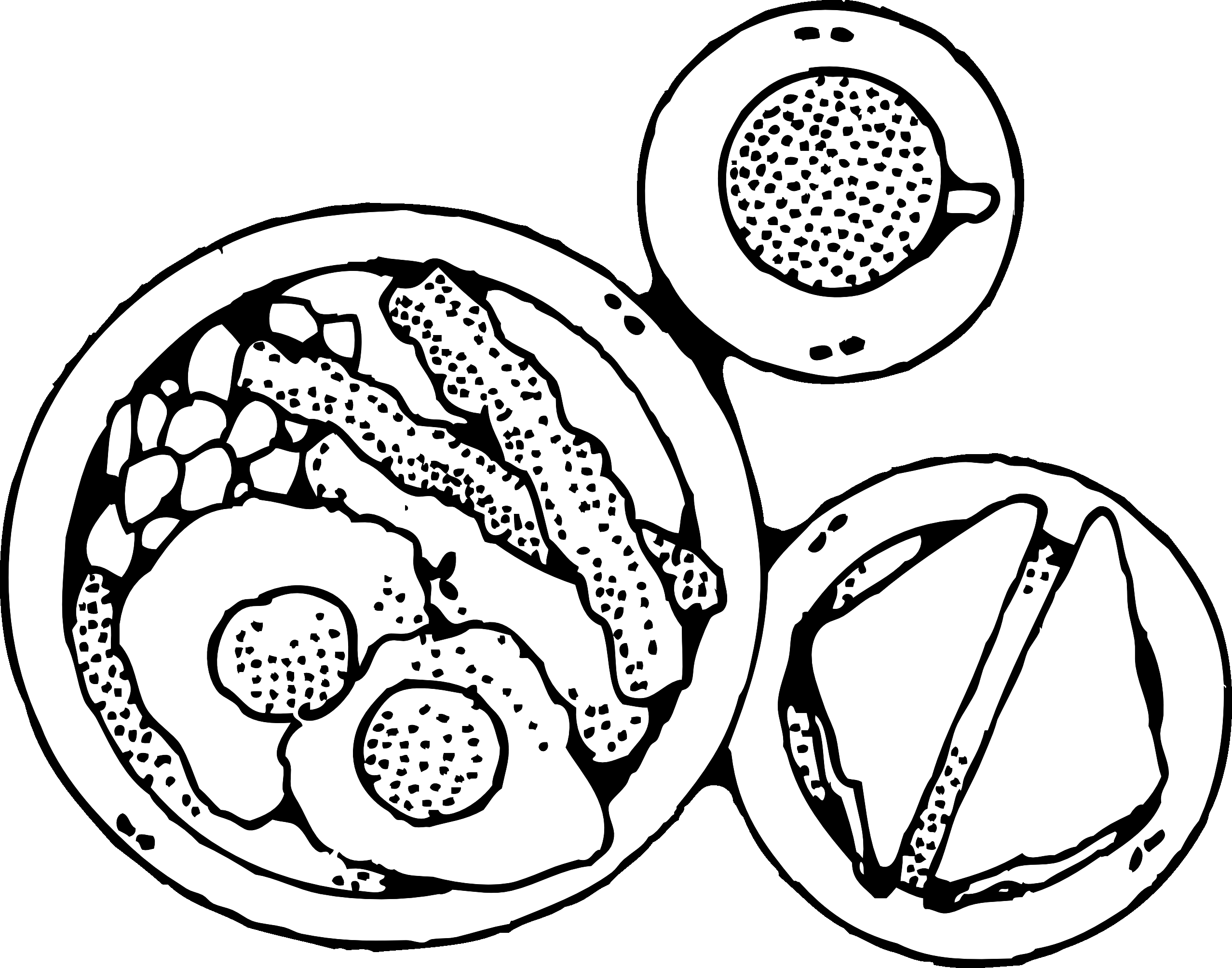 Food Clipart Black And White