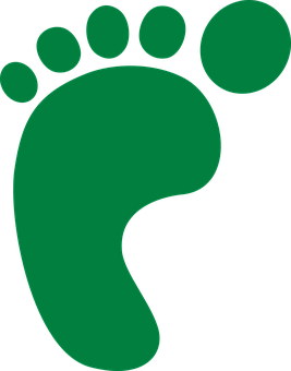 267x340 Baby Feet Baby Foot Free Images On Pixabay Clip Art
