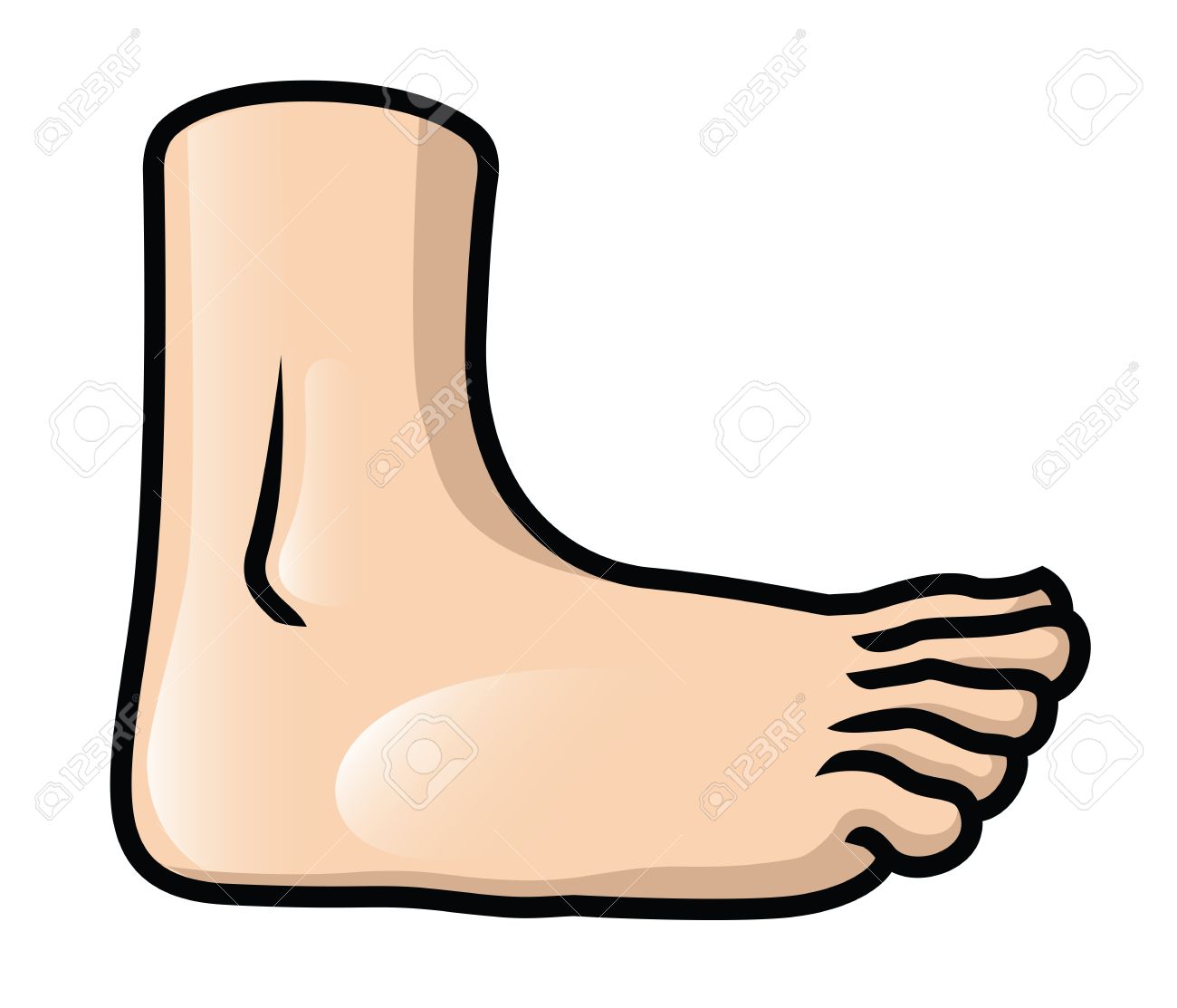1300x1113 Animated Foot Clipart