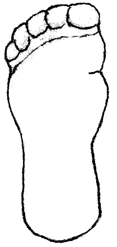 412x867 Big Foot Clipart Bottom Foot