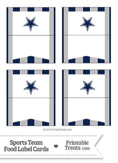236x324 Dallas Cowboys Pennant Banner Flag