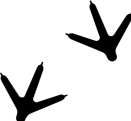 449x413 Footprint Clipart Hen