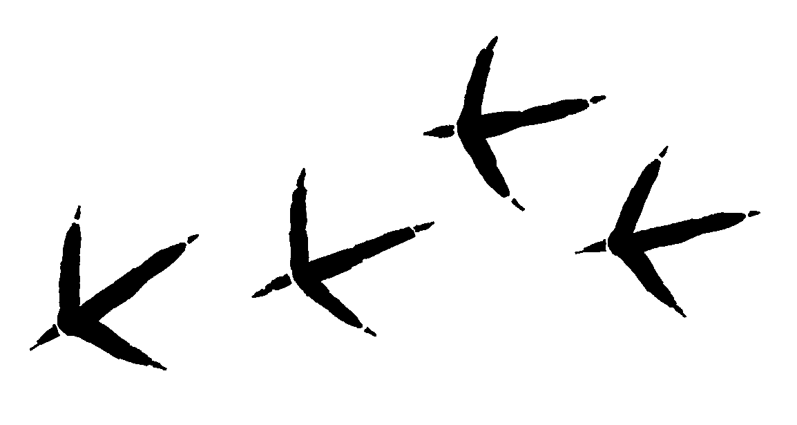 1154x615 Footprint Clipart The Snow Clipart