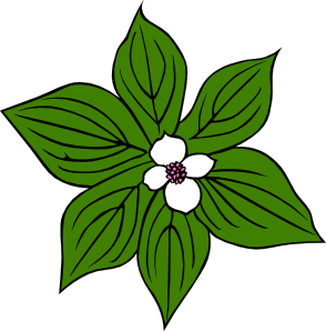 294x298 Forest Clip Art Flowers Cliparts