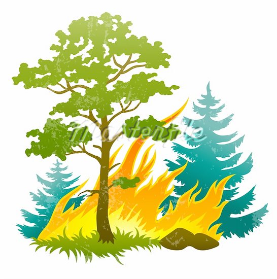 546x550 Top 73 Forest Clip Art