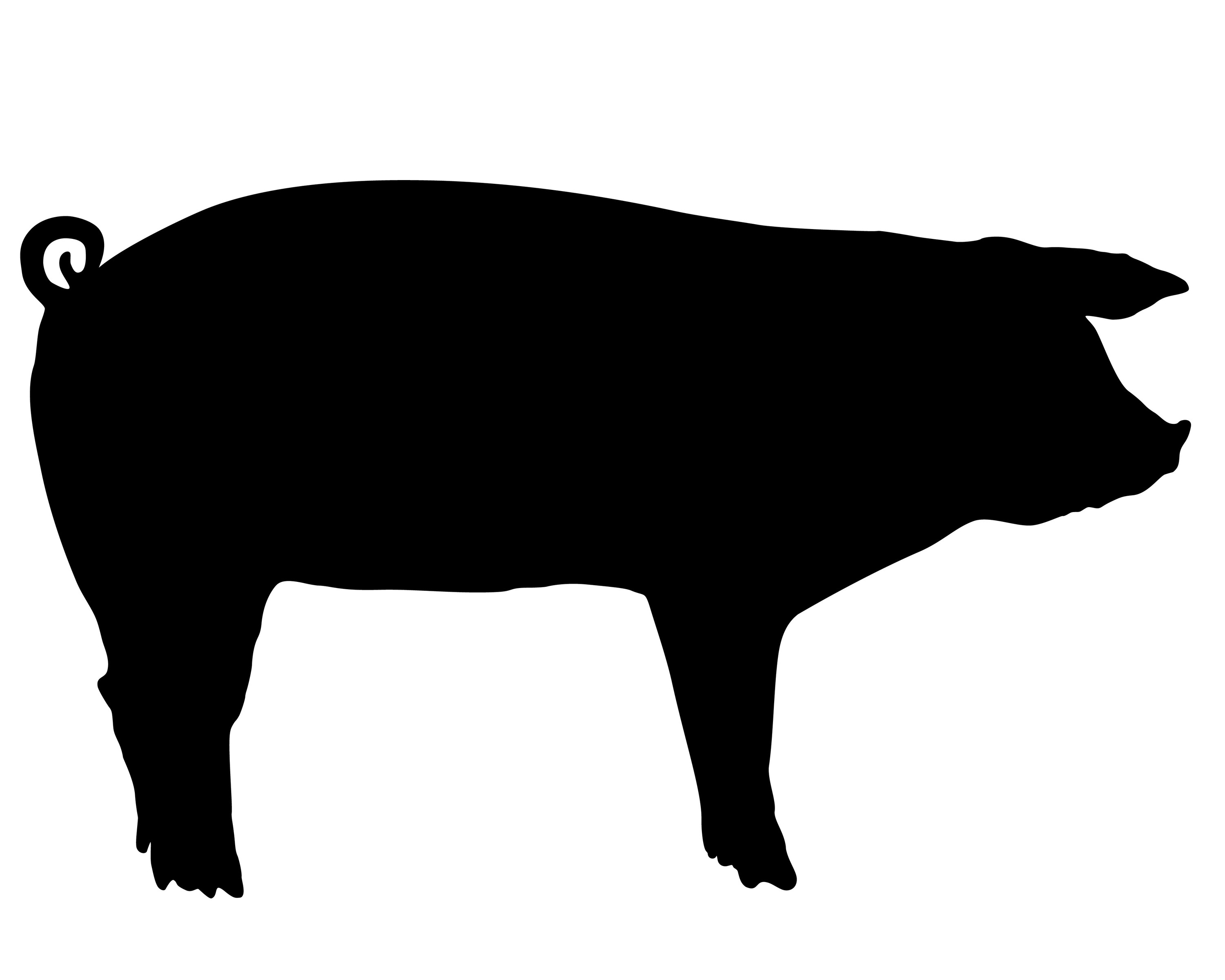 3000x2400 Forest Pig Clipart, Explore Pictures