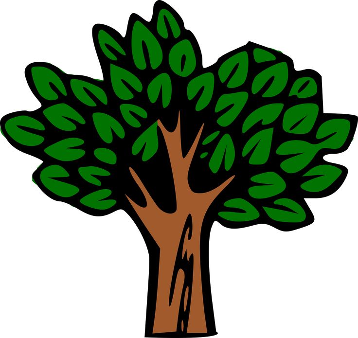 Forest Tree Clipart