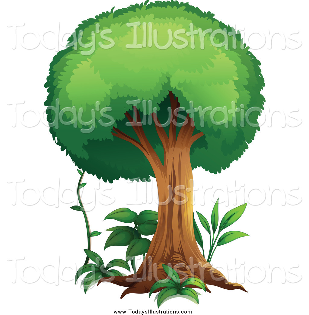 1024x1044 Clipart Of A Forest Tree With Plants And A Vine By Graphics Rf