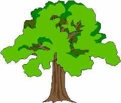 240x204 Park Clipart Forest Tree