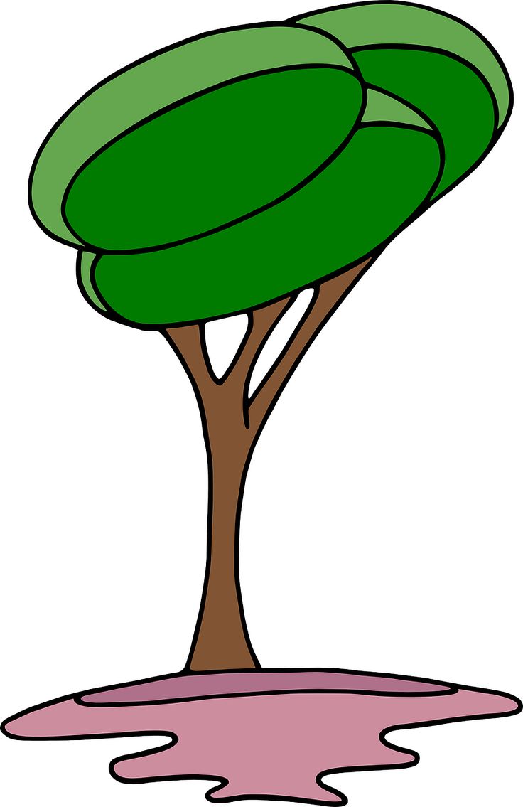 Forest Trees Clipart