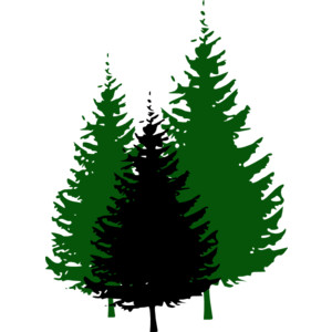 300x300 Tree Clipart Forest Tree