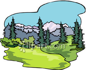 300x243 Forest Scenery