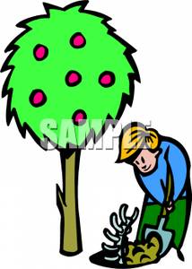 214x300 Boy Digging Up A Fossil Near An Apple Tree Clipart Image