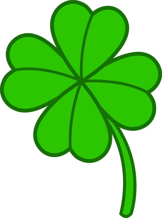564x755 Little 4 Leaf Clover Awesome Sauce Leaf Clover